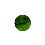 Green Leaf Plant Freshness Color 1  Mini Magnets Front