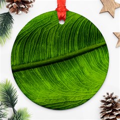 Green Leaf Plant Freshness Color Ornament (round) by Pakrebo