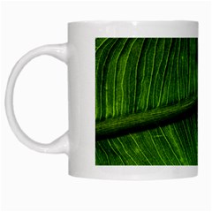 Green Leaf Plant Freshness Color White Mugs by Pakrebo