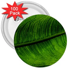 Green Leaf Plant Freshness Color 3  Buttons (100 Pack)  by Pakrebo