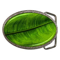 Green Leaf Plant Freshness Color Belt Buckles by Pakrebo