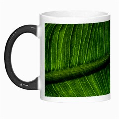 Green Leaf Plant Freshness Color Morph Mugs by Pakrebo