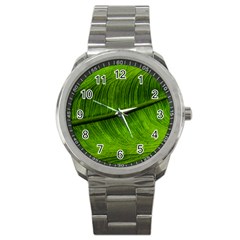 Green Leaf Plant Freshness Color Sport Metal Watch by Pakrebo