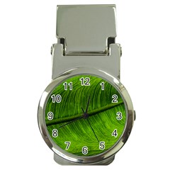 Green Leaf Plant Freshness Color Money Clip Watches by Pakrebo