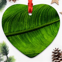 Green Leaf Plant Freshness Color Heart Ornament (two Sides) by Pakrebo