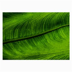 Green Leaf Plant Freshness Color Large Glasses Cloth by Pakrebo