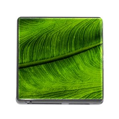 Green Leaf Plant Freshness Color Memory Card Reader (square 5 Slot) by Pakrebo