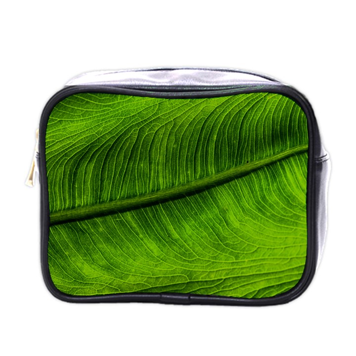 Green Leaf Plant Freshness Color Mini Toiletries Bag (One Side)