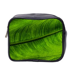 Green Leaf Plant Freshness Color Mini Toiletries Bag (two Sides) by Pakrebo