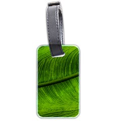 Green Leaf Plant Freshness Color Luggage Tags (two Sides) by Pakrebo