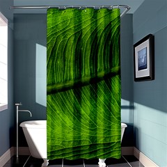 Green Leaf Plant Freshness Color Shower Curtain 36  X 72  (stall)  by Pakrebo