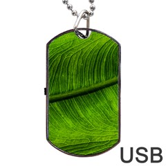 Green Leaf Plant Freshness Color Dog Tag Usb Flash (two Sides) by Pakrebo