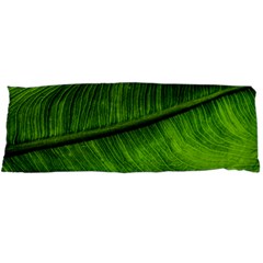 Green Leaf Plant Freshness Color Body Pillow Case Dakimakura (two Sides) by Pakrebo