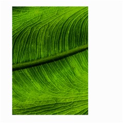 Green Leaf Plant Freshness Color Large Garden Flag (two Sides) by Pakrebo