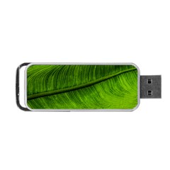 Green Leaf Plant Freshness Color Portable Usb Flash (one Side) by Pakrebo