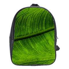 Green Leaf Plant Freshness Color School Bag (xl) by Pakrebo