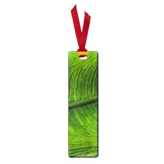 Green Leaf Plant Freshness Color Small Book Marks by Pakrebo