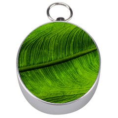 Green Leaf Plant Freshness Color Silver Compasses by Pakrebo