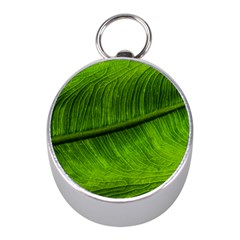 Green Leaf Plant Freshness Color Mini Silver Compasses by Pakrebo