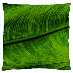 Green Leaf Plant Freshness Color Standard Flano Cushion Case (one Side) by Pakrebo