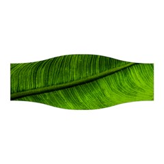 Green Leaf Plant Freshness Color Stretchable Headband by Pakrebo