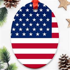 American Flag Ornament (oval) by Valentinaart