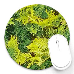 Garden Of The Phoenix Round Mousepads by Riverwoman