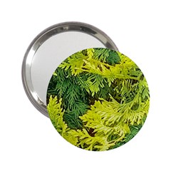 Garden Of The Phoenix 2 25  Handbag Mirrors by Riverwoman