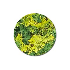 Garden Of The Phoenix Magnet 3  (round) by Riverwoman