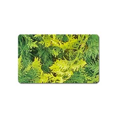 Garden Of The Phoenix Magnet (name Card) by Riverwoman