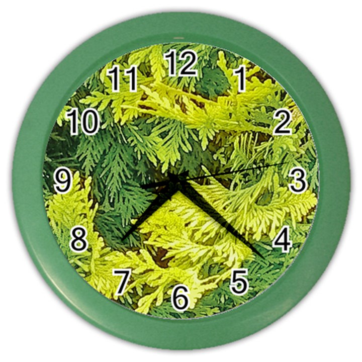 Garden of the Phoenix Color Wall Clock