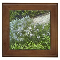 Lurie Garden Amsonia Framed Tiles by Riverwoman