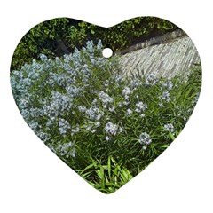 Lurie Garden Amsonia Ornament (heart) by Riverwoman