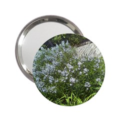 Lurie Garden Amsonia 2 25  Handbag Mirrors by Riverwoman