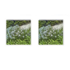 Lurie Garden Amsonia Cufflinks (square) by Riverwoman