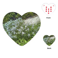 Lurie Garden Amsonia Playing Cards (heart) by Riverwoman