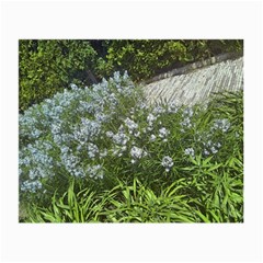 Lurie Garden Amsonia Small Glasses Cloth (2-side) by Riverwoman