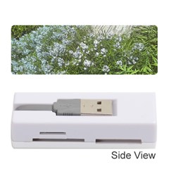 Lurie Garden Amsonia Memory Card Reader (stick) by Riverwoman