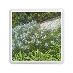 Lurie Garden Amsonia Memory Card Reader (square) by Riverwoman