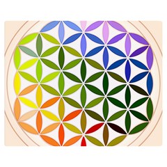 Mandala Rainbow Colorful Reiki Double Sided Flano Blanket (medium)  by Pakrebo