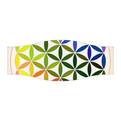 Mandala Rainbow Colorful Reiki Stretchable Headband