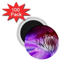 Clematis Structure Close Up Blossom 1 75  Magnets (100 Pack)  by Pakrebo