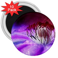 Clematis Structure Close Up Blossom 3  Magnets (10 Pack)  by Pakrebo