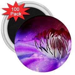 Clematis Structure Close Up Blossom 3  Magnets (100 Pack) by Pakrebo