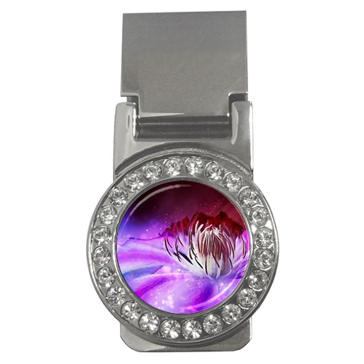 Clematis Structure Close Up Blossom Money Clips (CZ) 