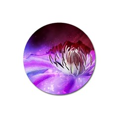 Clematis Structure Close Up Blossom Magnet 3  (round) by Pakrebo