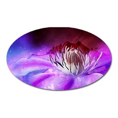 Clematis Structure Close Up Blossom Oval Magnet by Pakrebo