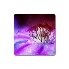 Clematis Structure Close Up Blossom Square Magnet by Pakrebo