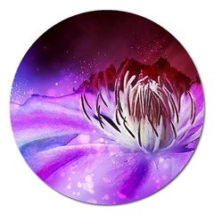 Clematis Structure Close Up Blossom Magnet 5  (round) by Pakrebo