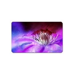 Clematis Structure Close Up Blossom Magnet (name Card) by Pakrebo